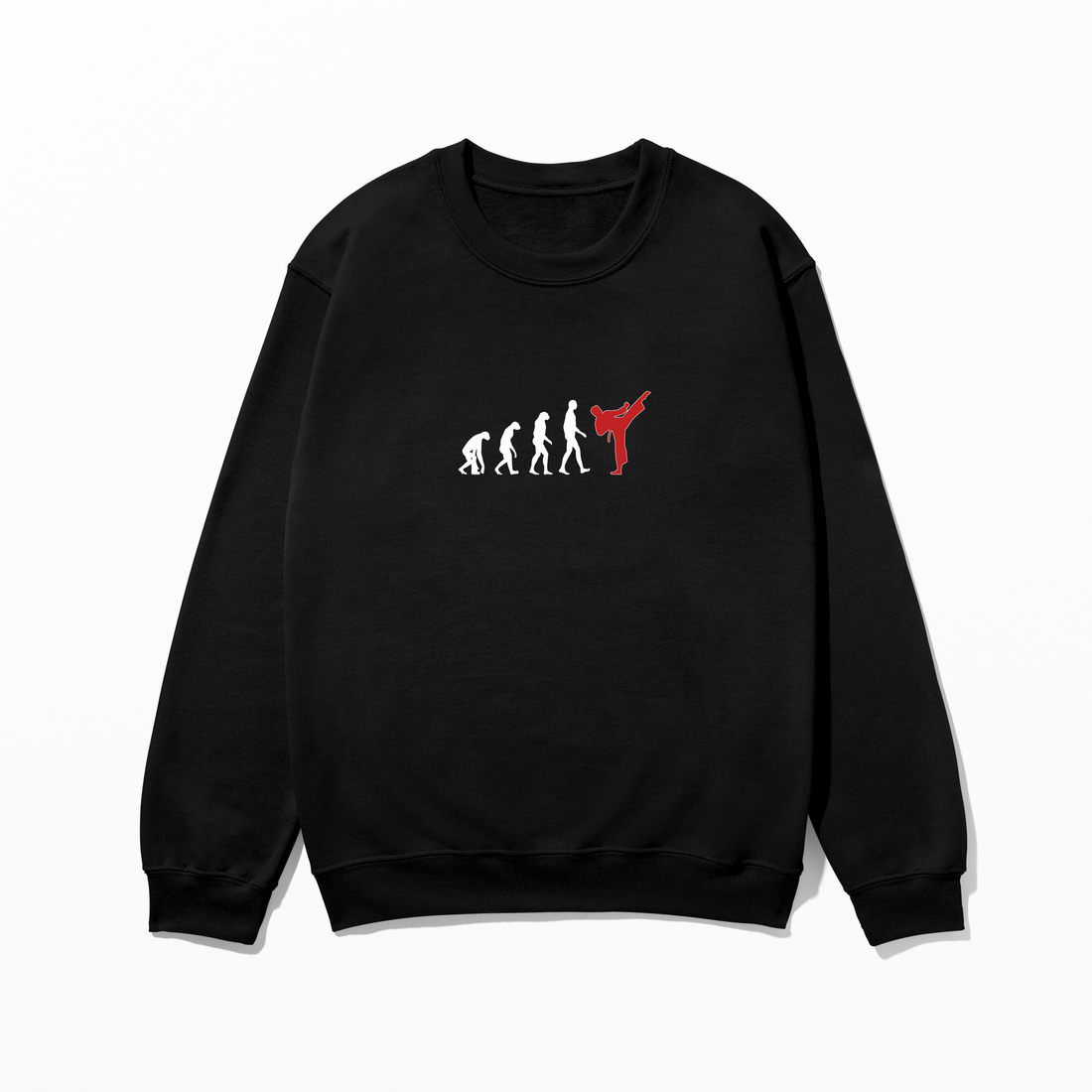 Evolution - Sweatshirt